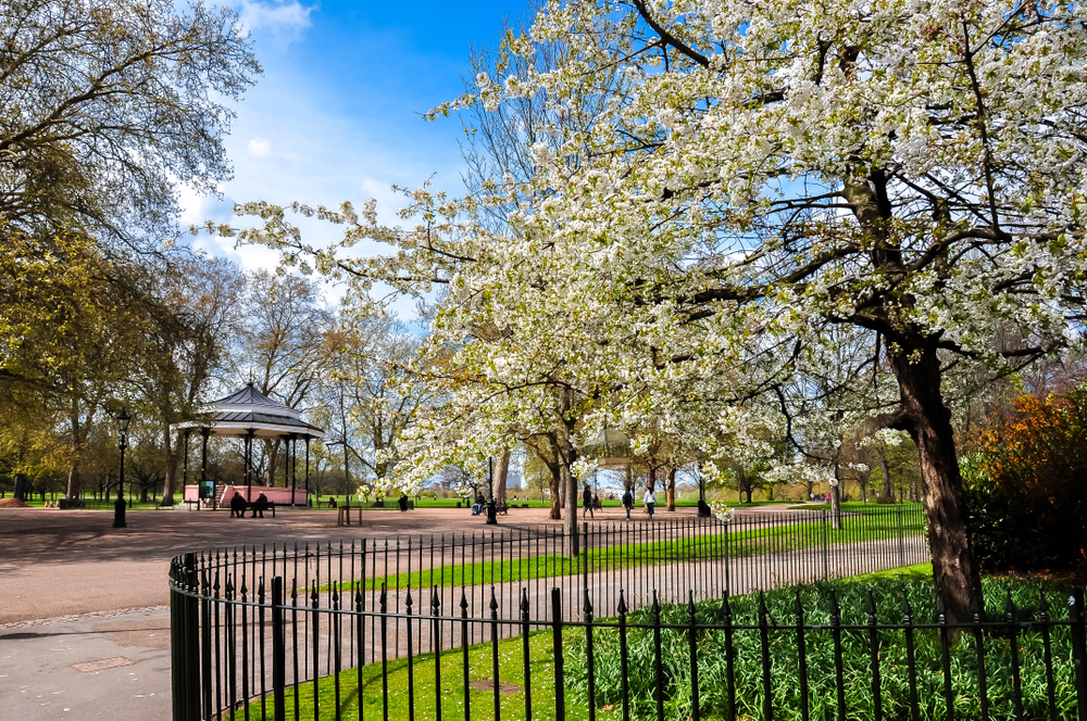 Spring in Hyde park, London, United Kingdom