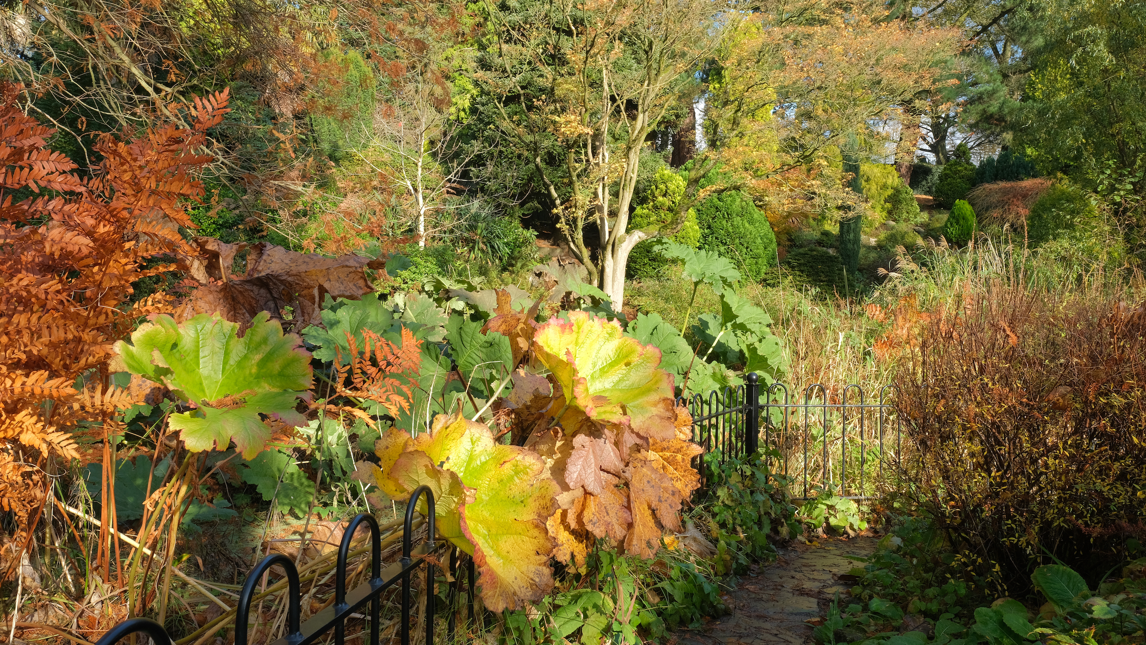 Jesień w ogrodzie botanicznym Fletcher Moss, Manchester, Wielka Brytania.