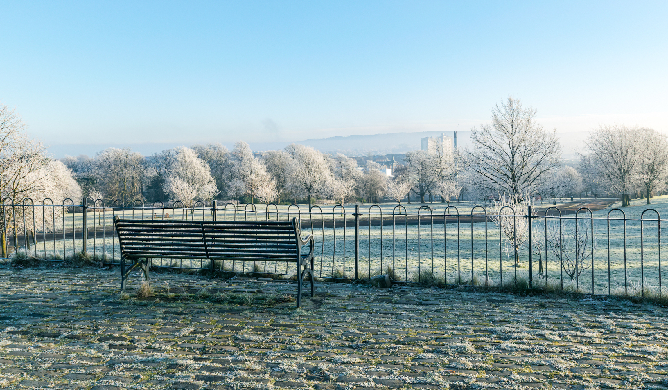 Pusta ławka z widokiem na Queen's Park, Glasgow, Szkocja w mroźny i mglisty zimowy poranek.