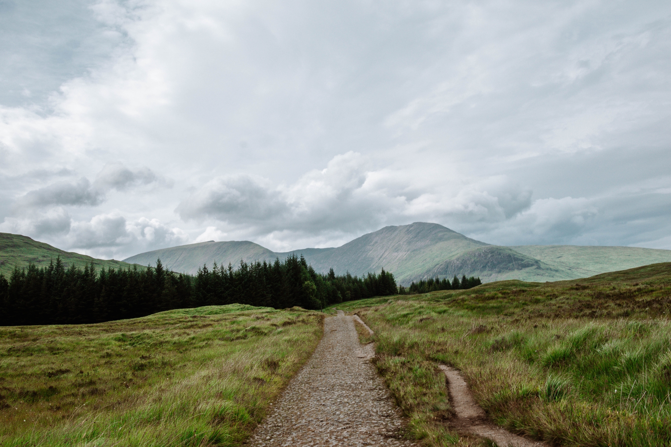 Szlak West Highland Way w górach i wrzosowiskach w Highlands w Szkocji, Wielka Brytania. 