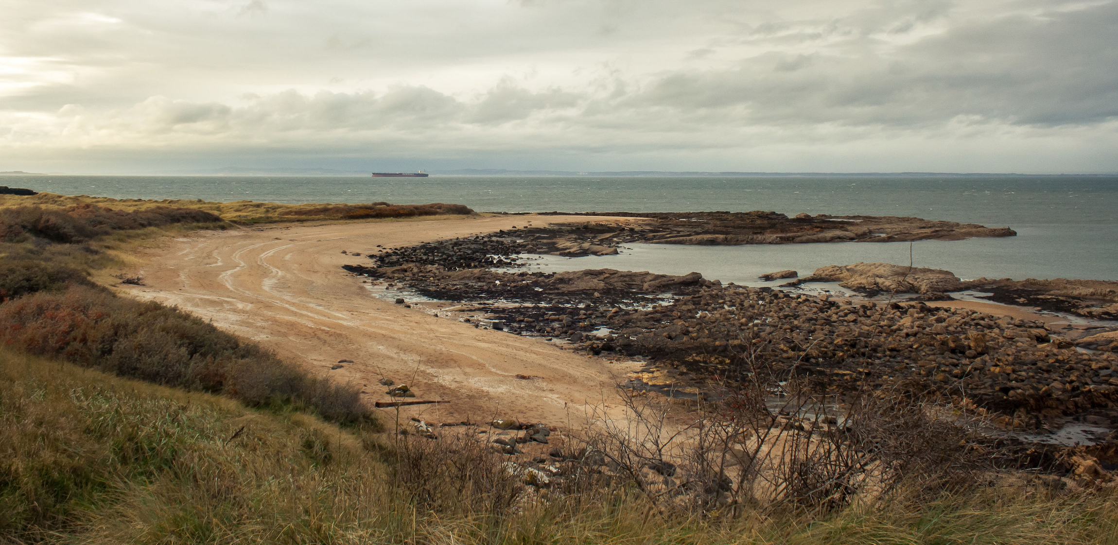 Pejzaż morski w Szkocji, z podkowiastą plażą Gullane utworzoną z piasku i skał. Z trawą i roślinnością na pierwszym planie i dużym statkiem towarowym w tle. Aberlady. Gullane.